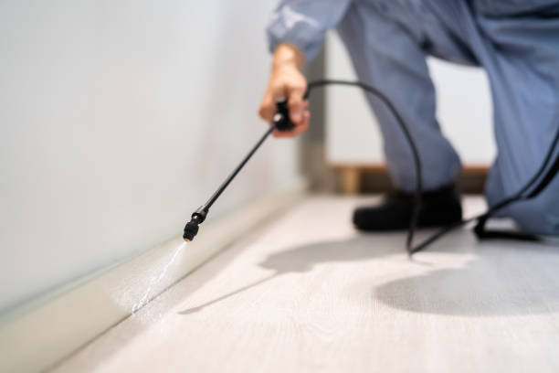 Licensed Mosquito Control service in Harvey, ND - Show Me Pest Control