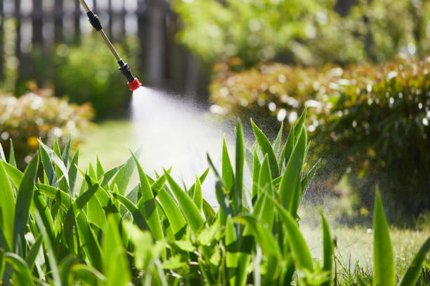 24/7 Emergency Mosquito Control experts in Harvey, ND
